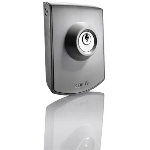 Commande à clé Somfy 2400597 portail et garage