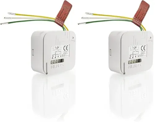 Lot de 2 micro-modules Somfy RTS 2401162
