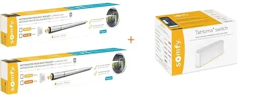 Pack Somfy 2 moteurs RMS 1700 et box Tahoma Switch pour volets