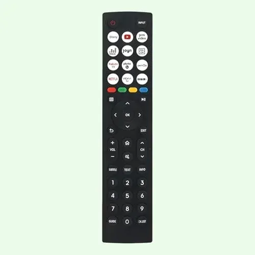Télécommande AULCMEET EN2P36H pour téléviseurs Hisense