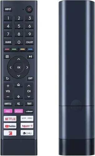 Télécommande GOUYESHO ERF3I80H Hisense