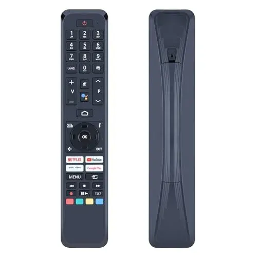 Télécommande vocale Bluetooth GOUYESHO RC45160 pour TV