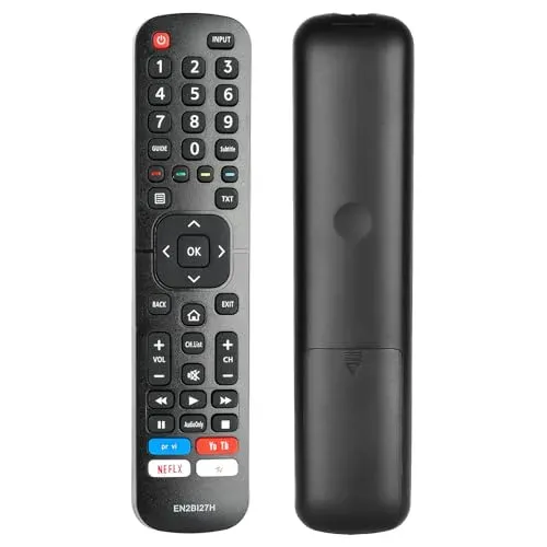 Télécommande Hisense EN2BI27H avec raccourcis Netflix et YouTube