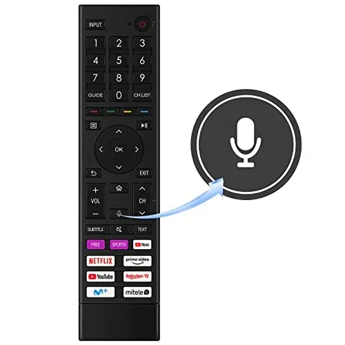 Télécommande compatible Hisense ERF3D80H pour Smart TV