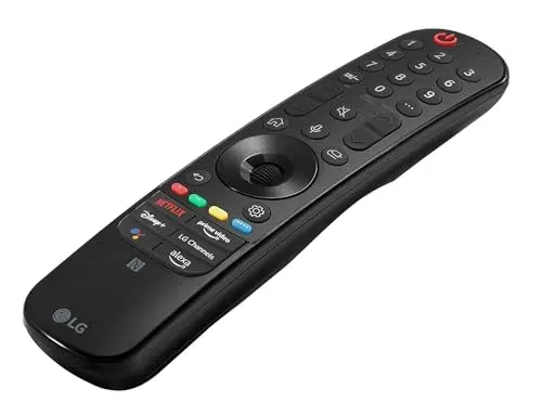 Télécommande LG Magic Remote MR22GN