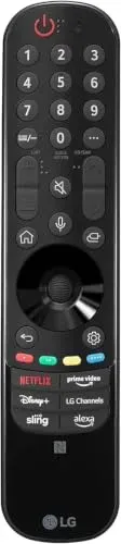 Télécommande LG Magic Remote MR23GN