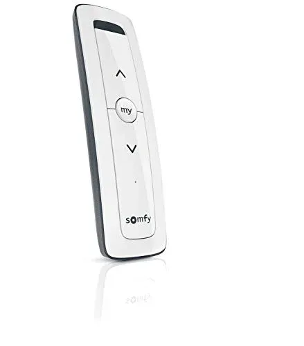 Télécommande Somfy Situo 1 RTS 1800128